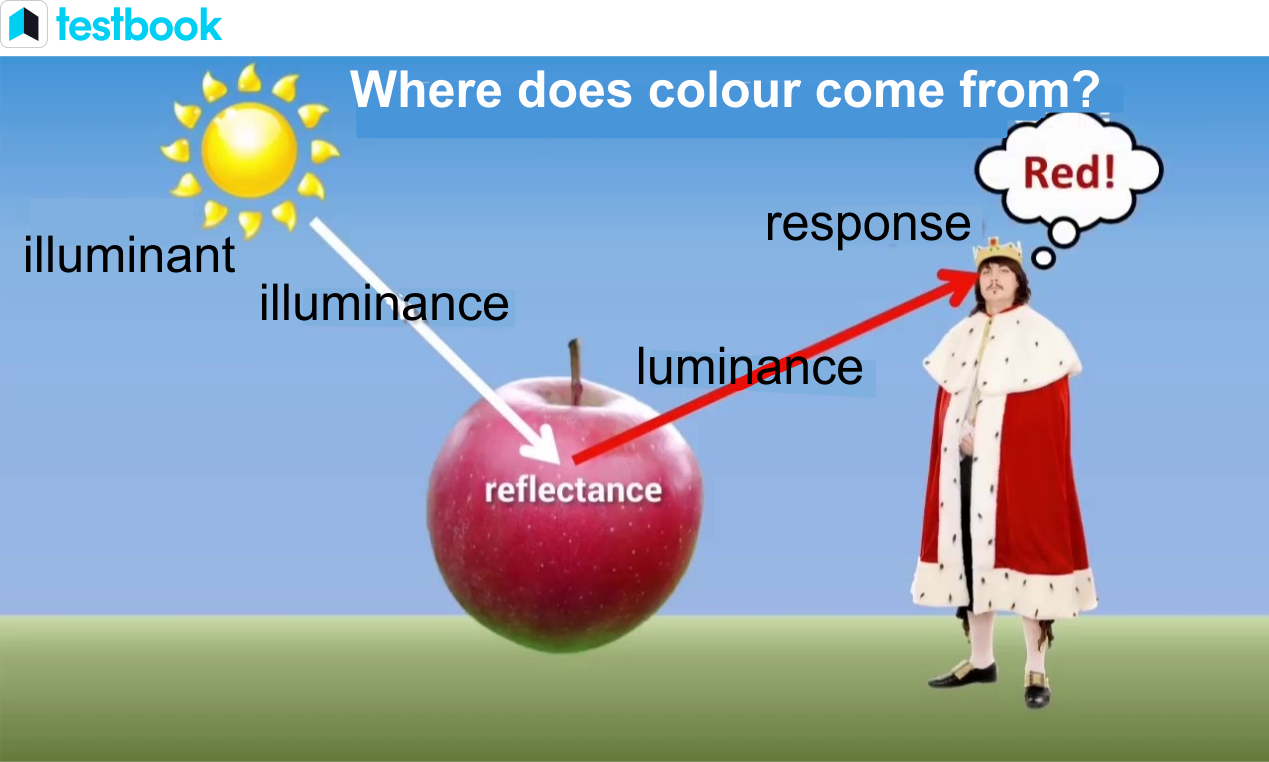 Transmission in Science: Understanding Energy and Information Transfer