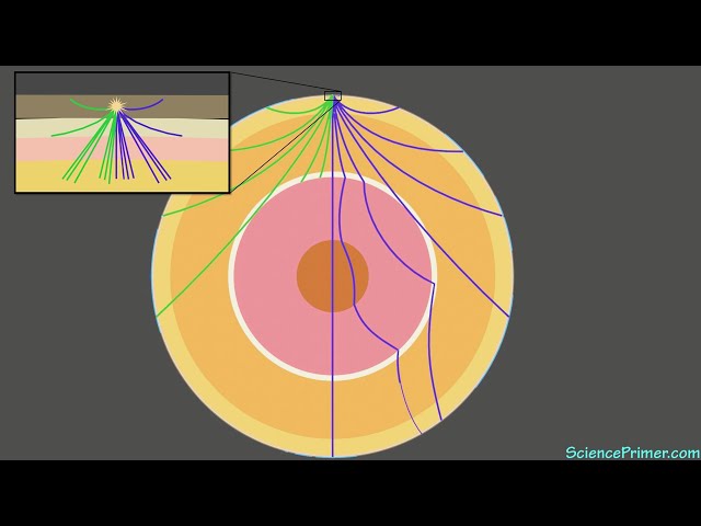 Seismic Wave Travel: Understanding S-Wave Propagation Through Earth