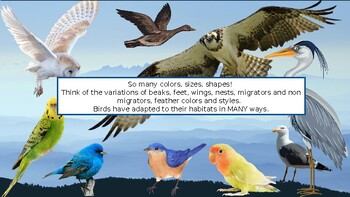 Avian Adaptation: Understanding Survival Traits in Changing Environments